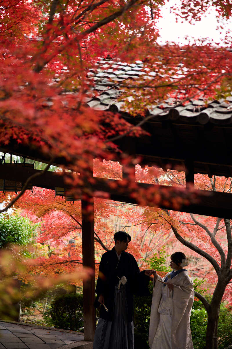 紅葉