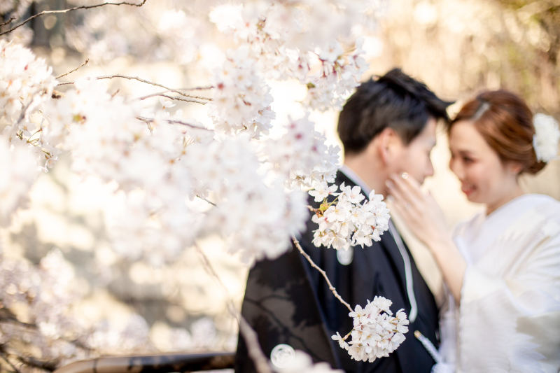 桜シーズンのお写真 ロケ&スタジオ撮影