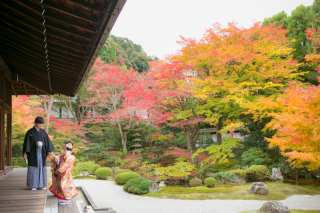 雰囲気のあるお寺さん