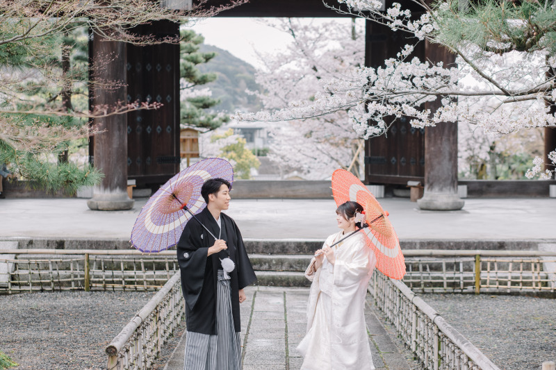 光明寺で白無垢撮影、桜時期のご様子