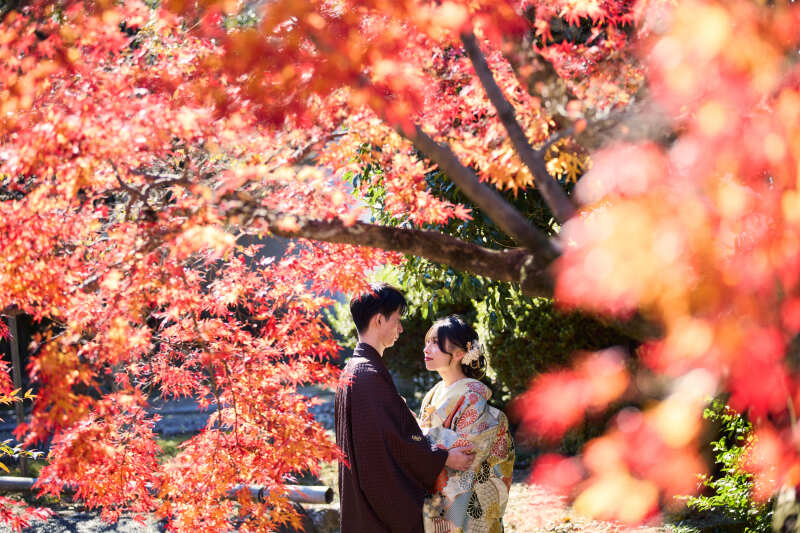 真っ赤に染まった紅葉