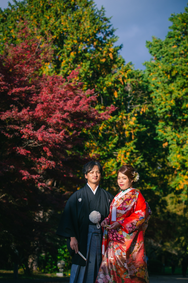 緑の赤のコントラスト