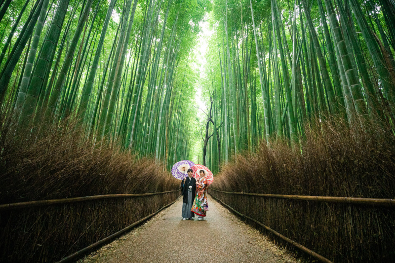竹林