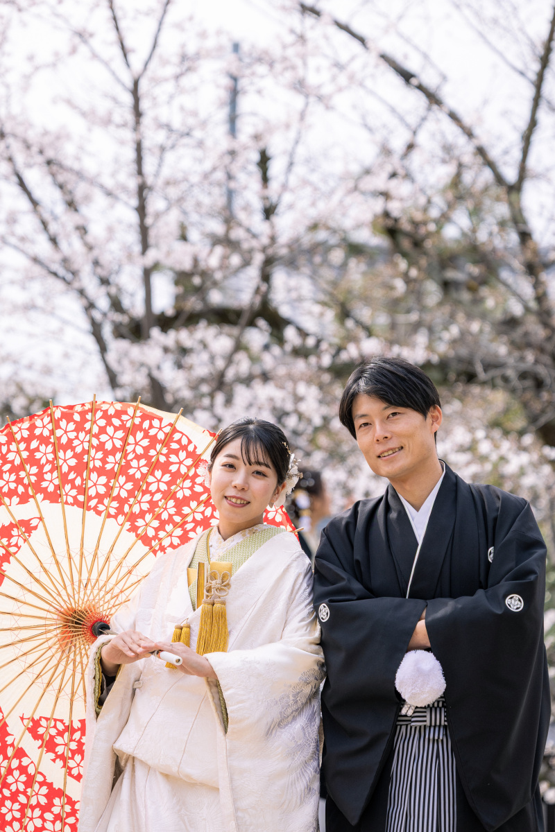 桜シーズン