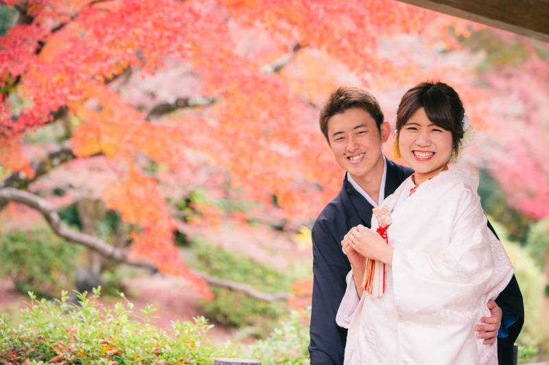 赤の緑のコントラスト