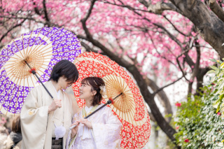 河津桜と八坂の塔付近で前撮りフォト