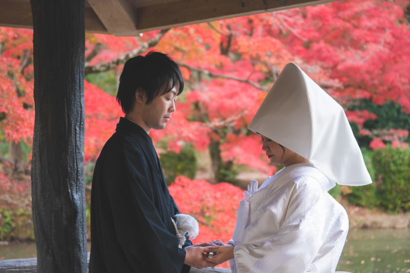 真っ赤な背景で