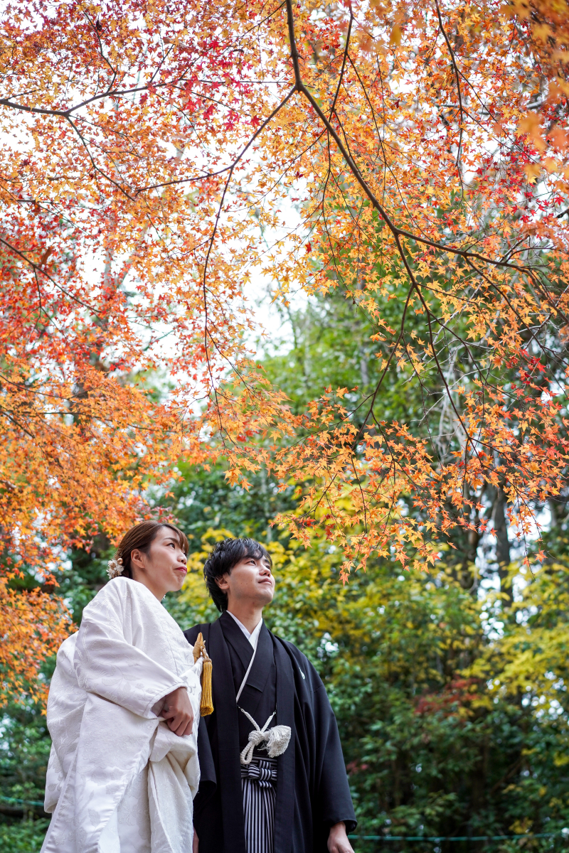 紅葉を見上げて