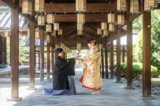 新緑が気持ち良い、萬福寺での撮影