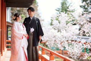 桜シーズン毘沙門堂にて白無垢ロケ