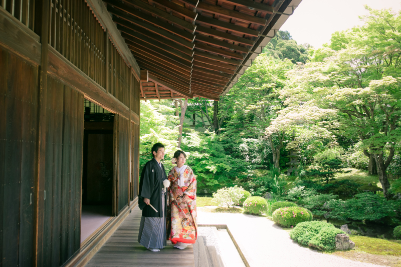 綺麗な庭園にて
