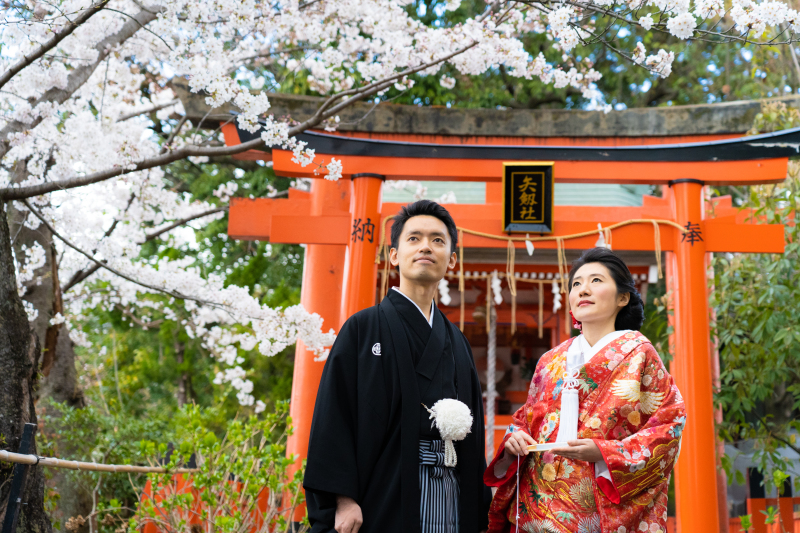 桜と鳥居