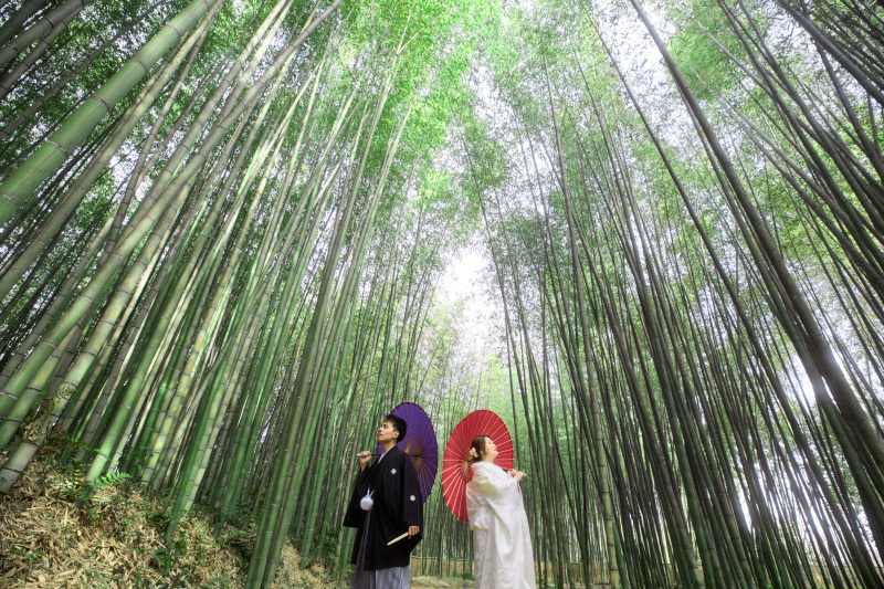 竹林との撮影