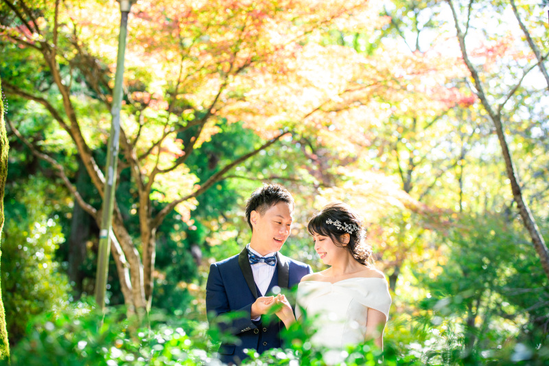 みどりの森にて