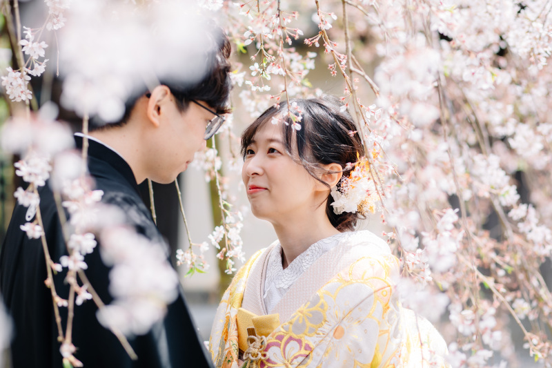 桜シーズン毘沙門堂にて