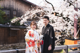 京都の桜を満喫！