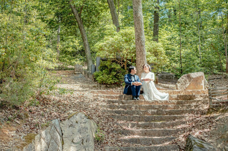 みどりの森にて