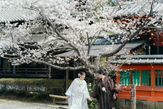 白無垢＆色打掛で桜前撮り♪