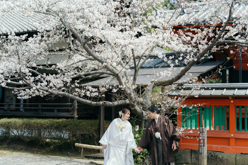 白無垢＆色打掛で桜前撮り♪