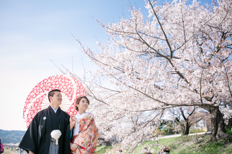 青い空、桃色の桜
