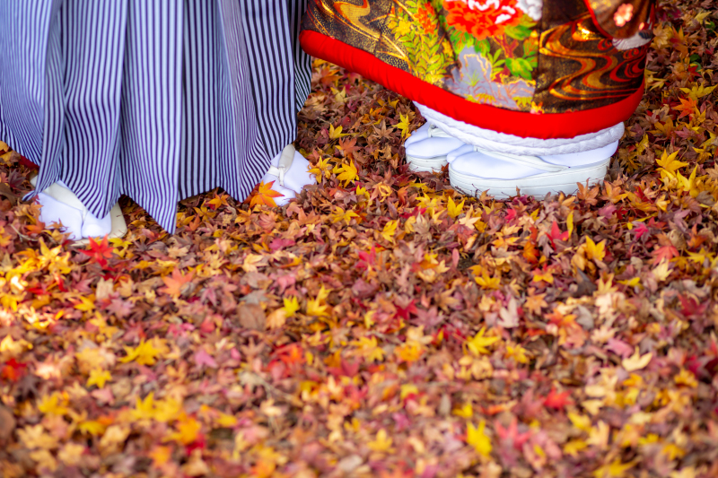 お次は和装です→