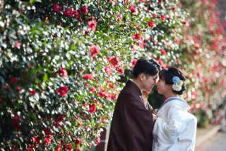 冬シーズンの梅宮大社にて