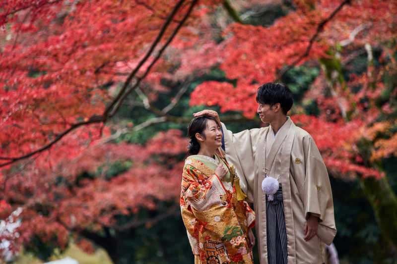 真っ赤な紅葉