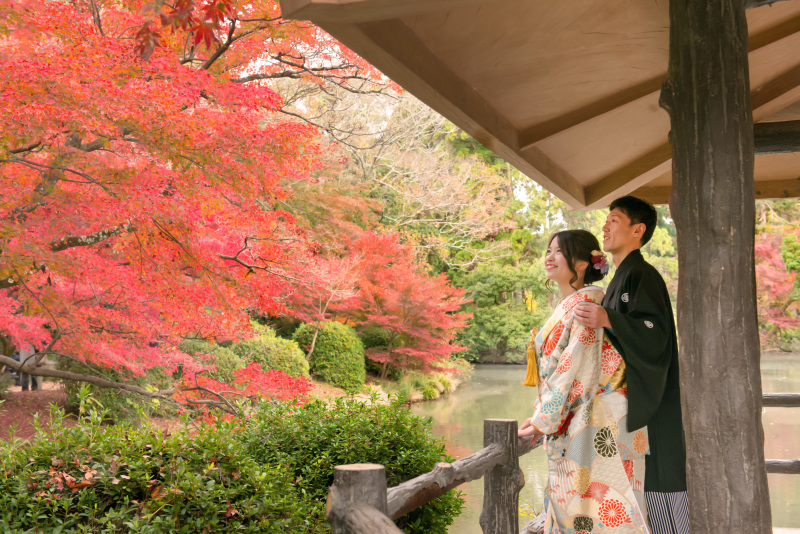 見上げるショット