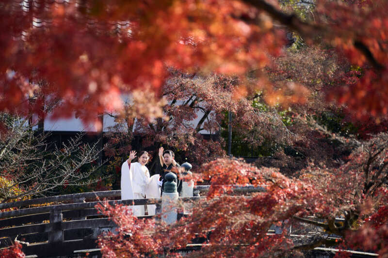 紅葉