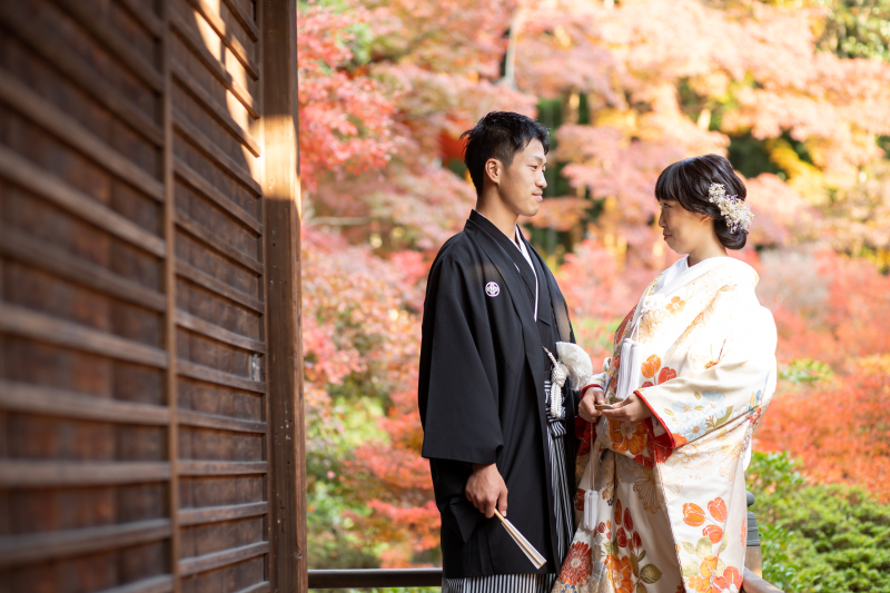 見つめ合って...