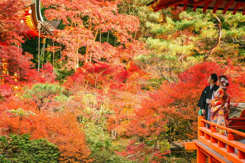 真っ赤に染まって