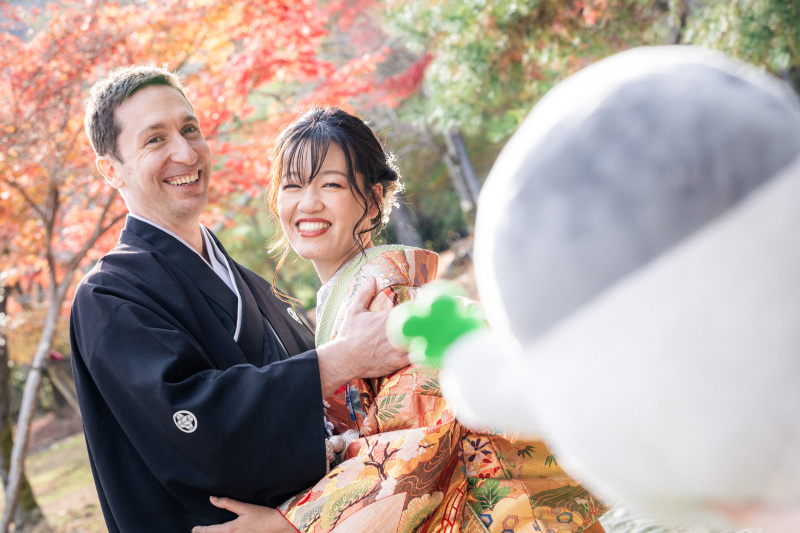 ぬいぐるみが見てる