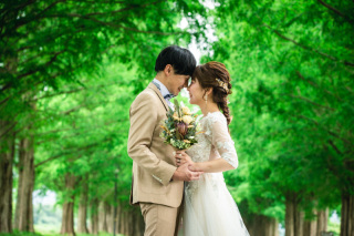 祇園とメタセコイヤ並木で撮影