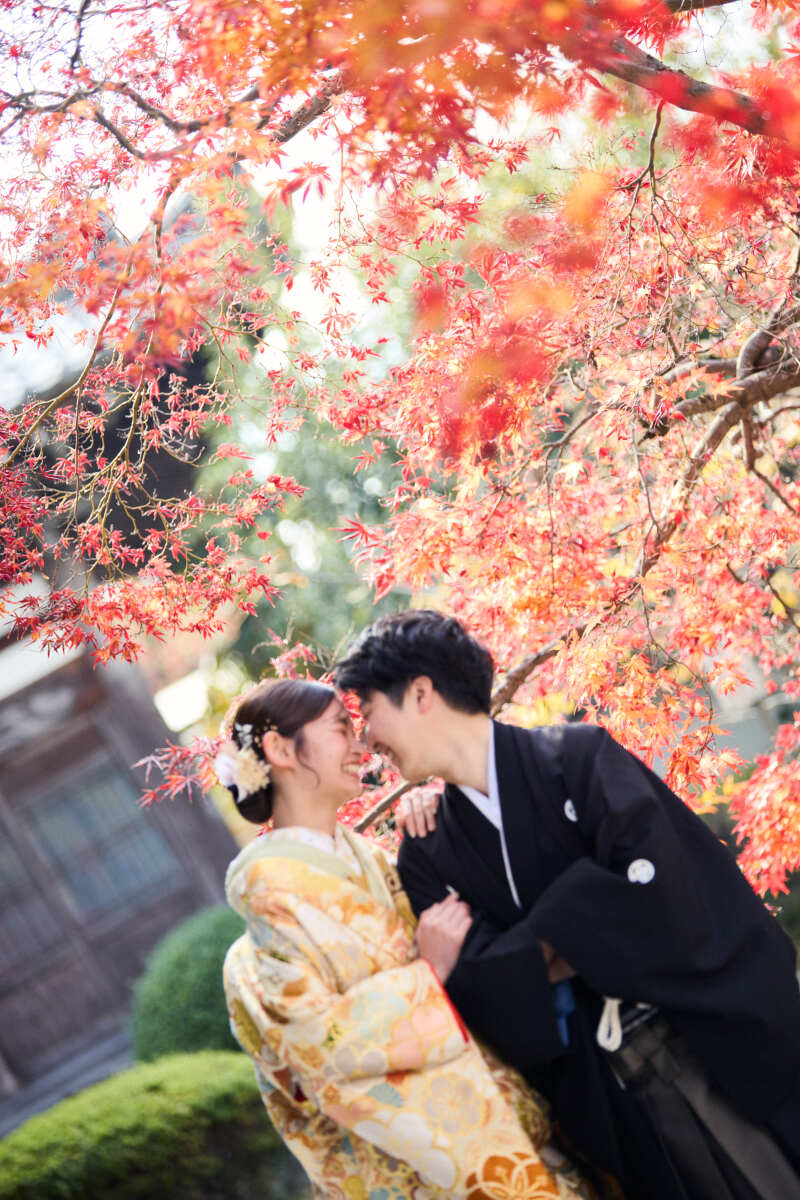 紅葉