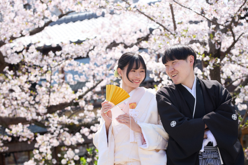 桜シーズン!祇園での前撮り