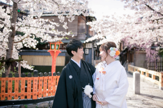 巽橋と鴨川の桜をいいとこ撮り！