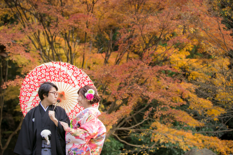 京都市内で撮影