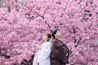 河津桜との前撮りフォト