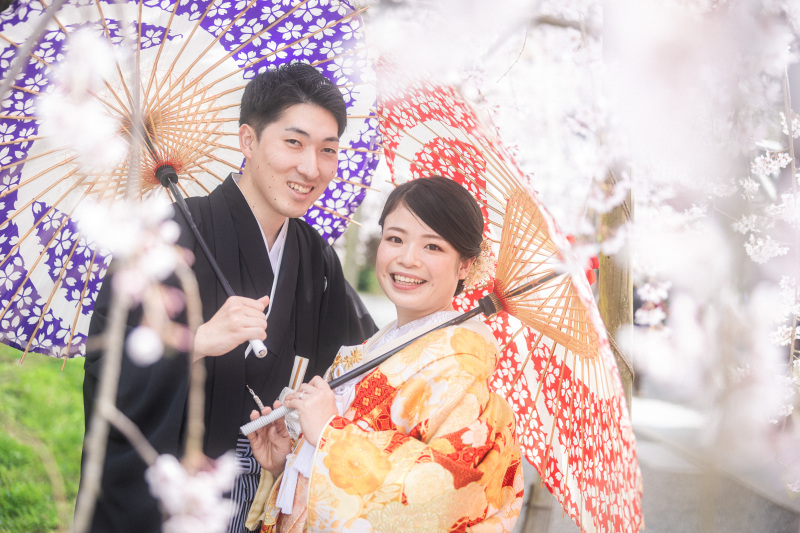 桜シーズン！毘沙門堂ロケ！