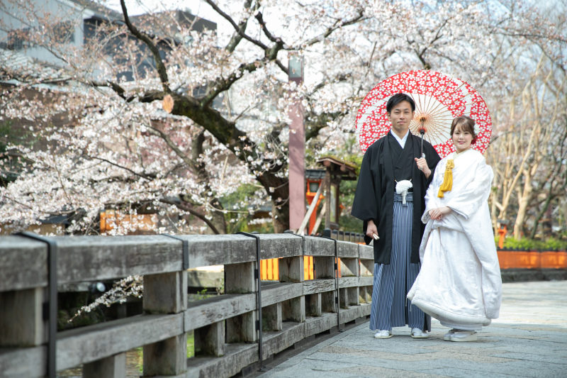 満開の桜と白無垢で