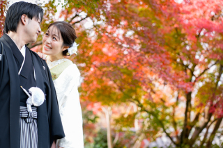 紅葉シーズン梅宮大社にて