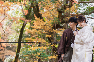 12月の円山公園、そしてチャペル☆彡