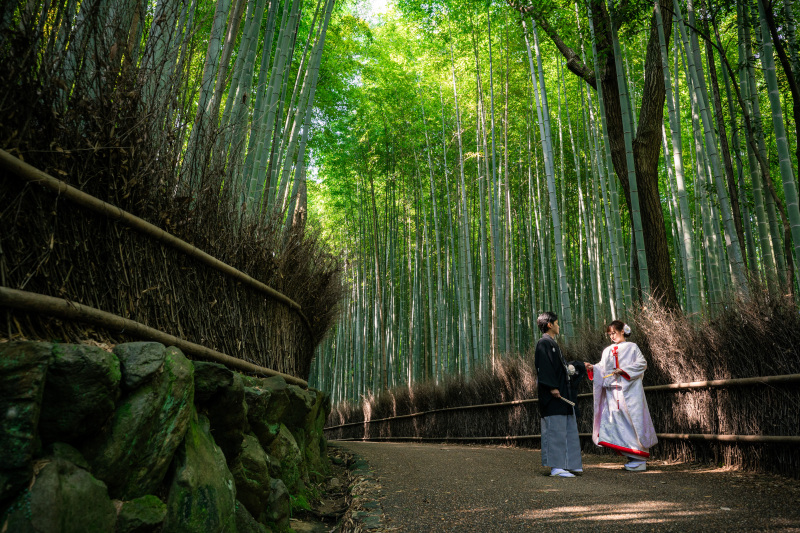 緑溢れる竹林の嵐山　and スタジオにて