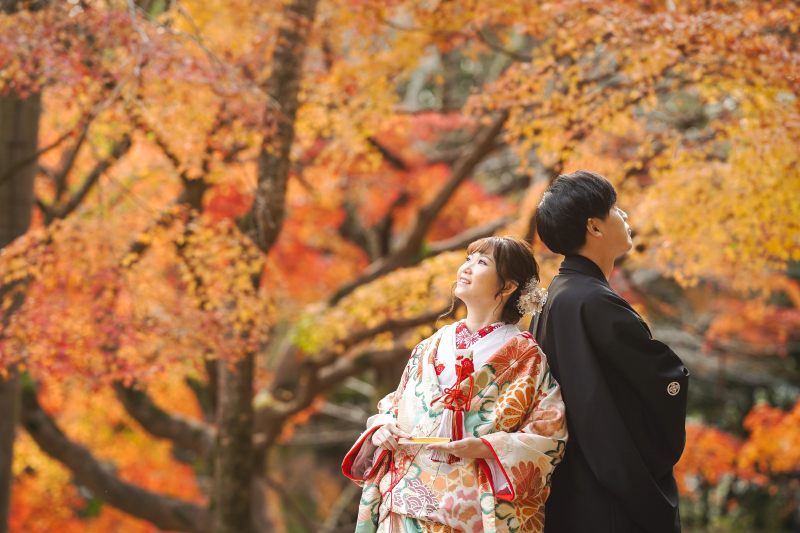 美しい紅葉　和洋1点づつ撮影