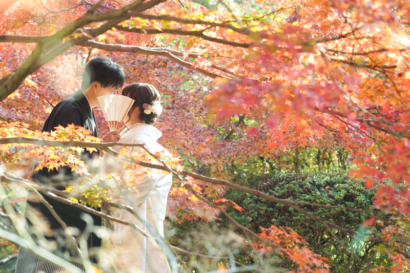 円山公園&梅宮大社 ロケ地2か所和装2点