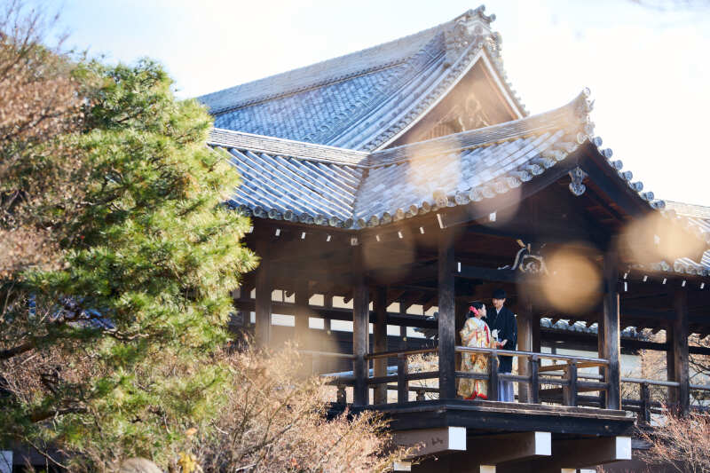 引きのお写真も