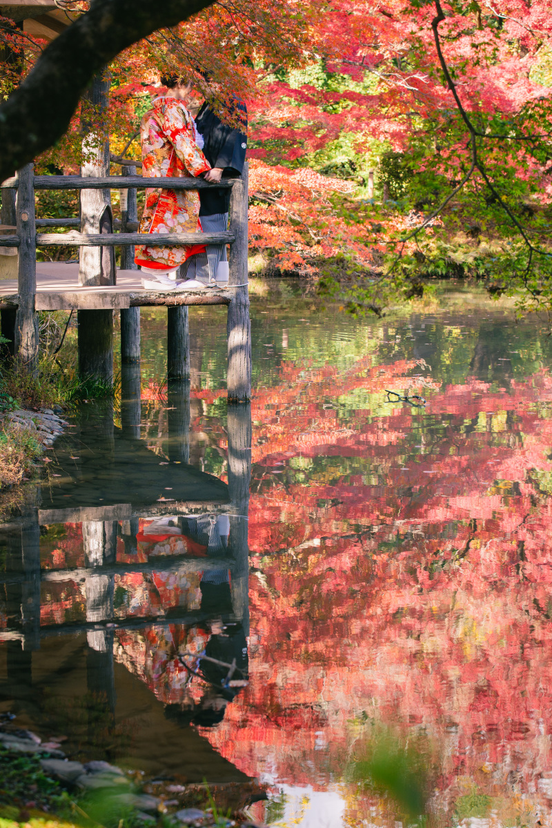 リフレクション