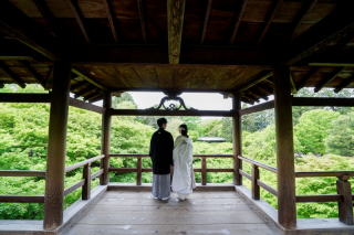 新緑シーズンの東福寺にて