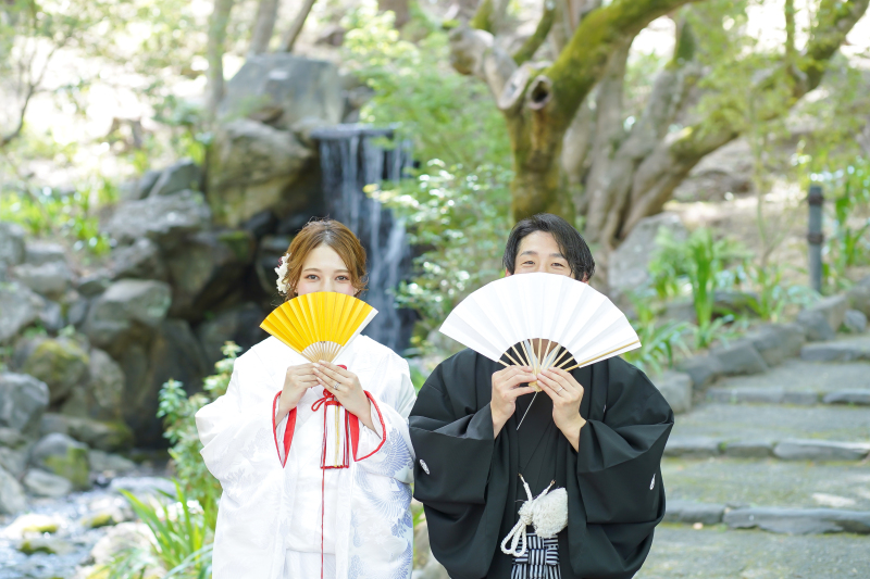 ひょっこり