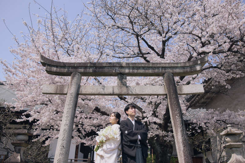 妙顕寺での桜時期のお客様♡